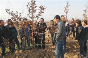 陕西20名农民录取上大学 q_q龄q?8?>
        <p class='ph_title'>陕西20名农民录取上大学 q_q龄q?8?/p>
        <p class='ph_time'>2016-06-21</p>
      </a>
    </li>
                <li>
      <a href=