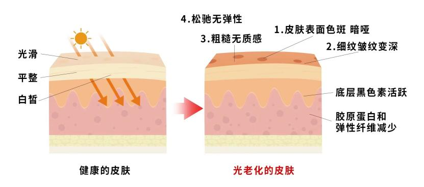 健康日历 Z么说白头是抗光?>
        <p class='ph_title'>健康日历 Z么说白头是抗光?/p>
        <p class='ph_time'>2024-07-23</p>
      </a>
    </li>
                <li>
      <a href=