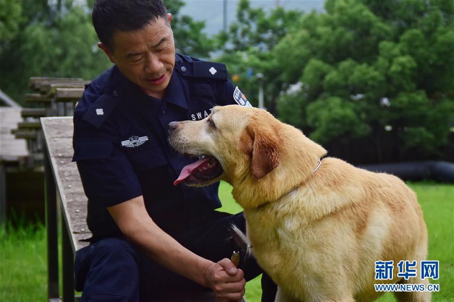 6月24日，緝毒犬“多多”完成訓練后，與訓導員周吉榮親密互動。 新華社記者 鄭夢雨 攝